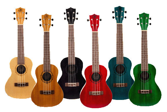 Bumblebee Wooden Soprano Ukulele - 20 Pack – Kevin Mayhew